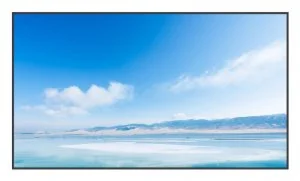 Профессиональная панель Exell EXPD-DI98AM5 98"