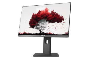 Монитор RDW Computers RDW 2402K