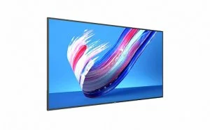 Профессиональная панель Philips 75BDL3650Q/00