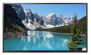 Профессиональная панель 55" BOE SL55AP-PBMA01