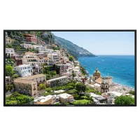 Профессиональная панель EliteBoard 98" LK-98US2SX