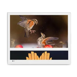 Профессиональная панель с двумя экранами 19" и 22" BOE Elevator ED2219A