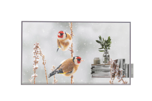 Профессиональная прозрачная OLED панель LG 55EW5P-M