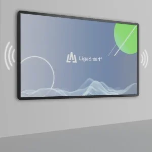 Профессиональная панель LigaSmart, модель PROF 110