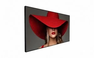 Профессиональная панель Philips 98BDL4650D/00