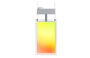 Профессиональная панель Lumien Clear A 55"