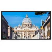 Профессиональная панель EliteBoard 75" LK-75US2SX