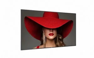 Профессиональная панель Philips 75BDL4650D/00