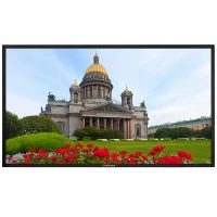 Профессиональная панель EliteBoard 86" LK-86US2SX