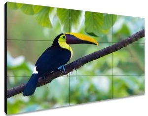 Видеостена EXELL EXPD-WA55AB15 55" 3х2 Видеостена EXELL EXPD-WA55AB15 55" 3х2