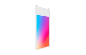 Профессиональная панель Lumien Clear B 55"