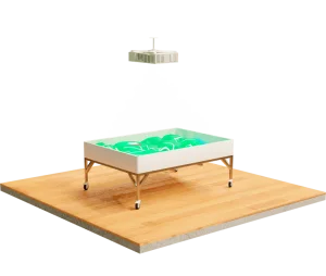 Интерактивный пол Ronplay KIDS RSB FULL 4 3 в 1 Интерактивный пол Ronplay KIDS RSB FULL 4 3 в 1