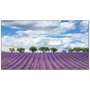 Профессиональная панель EliteBoard PK555FDLN