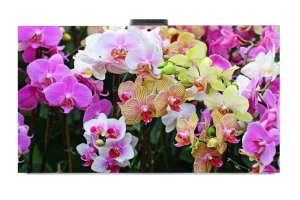 Светодиодный экран Visualeader CD16/16(DIP)