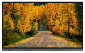 Интерактивная панель BOE 75" P75DE-CMRE Интерактивная панель BOE 75" P75DE-CMRE