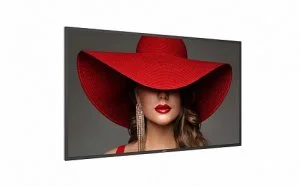 Профессиональная панель Philips 50BDL4650D/00