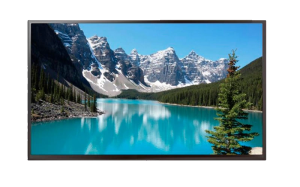 Профессиональная панель EWIN 75" DE75A