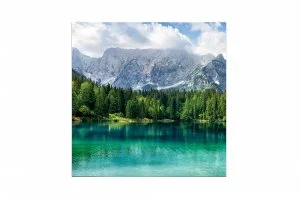 Светодиодный экран LG LAE029DD8DE