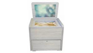 Сундучок школьного психолога-дефектолога Волшебный Экран Антошка