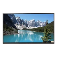 Профессиональная панель BOE 55" SL55AP-PBMA03