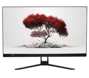 Моноблок RDW Computers RDW AMD 27"