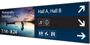 Профессиональная панель iVi W09