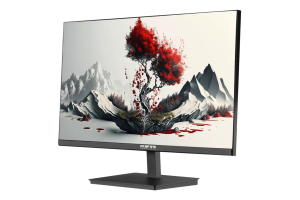 Монитор RDW Computers RDW 2401K 2K